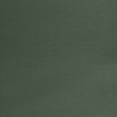 Оксфорд (Oxford) 240D 19-5917, PU/WR, 115 гр/м2, шир.150см, цвет т.зелёный - купить в Арзамасе. Цена 152.54 руб.