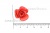 Украшение "Розы малые №1" 20мм - купить в Арзамасе. Цена: 32.49 руб.