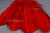 Декоративный Пучок из перьев, перо 23см/красный - купить в Арзамасе. Цена: 11.16 руб.