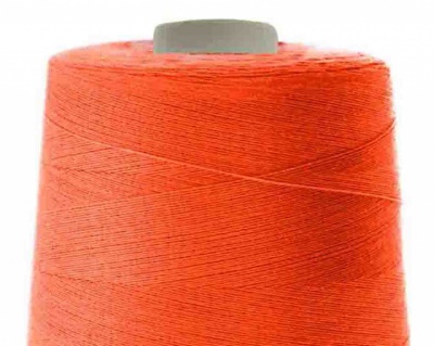 Швейные нитки (армированные) 28S/2, нам. 2 500 м, цвет 598 - купить в Арзамасе. Цена: 139.91 руб.