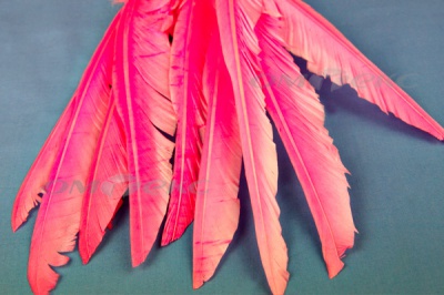 Декоративный Пучок из перьев, перо 25см/розовый - купить в Арзамасе. Цена: 14.40 руб.