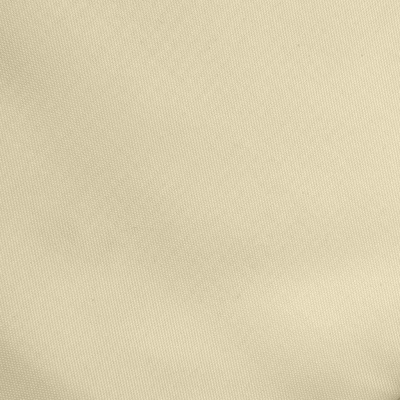 Ткань подкладочная Таффета 14-1014, антист., 53 гр/м2, шир.150см, цвет бежевый - купить в Арзамасе. Цена 62.37 руб.