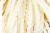 Тесьма декоративная "Шнур-косичка" - купить в Арзамасе. Цена: 2.31 руб.