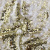 Трикотажное полотно, Сетка с пайетками, шир.130 см, #315, цв.-белый/золото - купить в Арзамасе. Цена 693.39 руб.