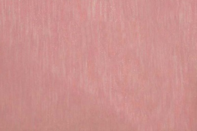Органза однотонная "Амелия" С19 (Розовый) 280 см - купить в Арзамасе. Цена 303.09 руб.