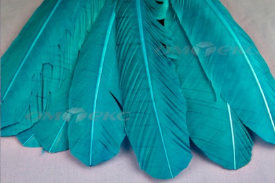 Декоративный Пучок из перьев, перо 24см/голубой - купить в Арзамасе. Цена: 12.19 руб.