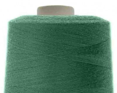 Швейные нитки (армированные) 28S/2, нам. 2 500 м, цвет 376 - купить в Арзамасе. Цена: 148.95 руб.