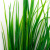 Трава искусственная -2, шт (осока 41см/8 см)				 - купить в Арзамасе. Цена: 104.57 руб.