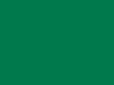 85 см № 258 яр. зеленый спираль (G) сорт-2 - купить в Арзамасе. Цена: 16.97 руб.