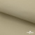 Ткань подкладочная TWILL 230T 14-1108, беж светлый 100% полиэстер,66 г/м2, шир.150 cм - купить в Арзамасе. Цена 90.59 руб.