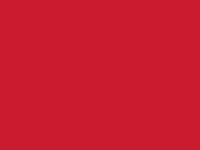 Сетка подкладочная красный, 60г/м2 (10 м/кг) - купить в Арзамасе. Цена 885.73 руб.
