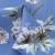 Плательная ткань "Фламенко" 12.1, 80 гр/м2, шир.150 см, принт растительный - купить в Арзамасе. Цена 241.49 руб.