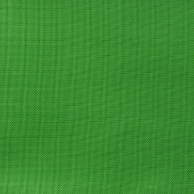 Ткань подкладочная Таффета 17-6153, 48 гр/м2, шир.150см, цвет трава - купить в Арзамасе. Цена 54.64 руб.