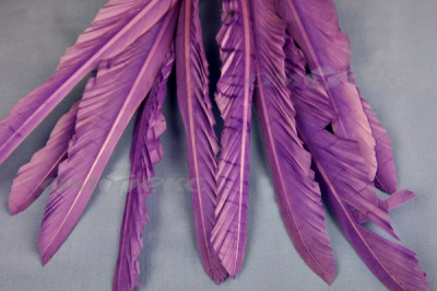 Декоративный Пучок из перьев, перо 25см/фиолетовый - купить в Арзамасе. Цена: 12.19 руб.