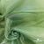 Ткань органза, 100% полиэстр, 28г/м2, шир. 150 см, цв. #27 зеленый - купить в Арзамасе. Цена 86.24 руб.