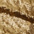 Сетка с пайетками №3, 188 гр/м2, шир.140см, цвет золотой - купить в Арзамасе. Цена 454.12 руб.