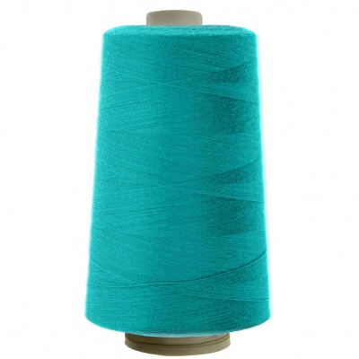 Швейные нитки (армированные) 28S/2, нам. 2 500 м, цвет 360 - купить в Арзамасе. Цена: 148.95 руб.
