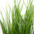 Трава искусственная -4, шт  (осока 50 см/8 см  7 листов)				 - купить в Арзамасе. Цена: 130.73 руб.
