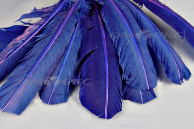 Декоративный Пучок из перьев, перо 23см/синий - купить в Арзамасе. Цена: 12.34 руб.